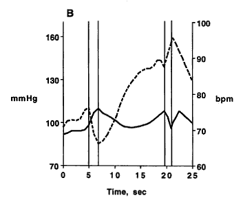 Fig. 2. Panel B